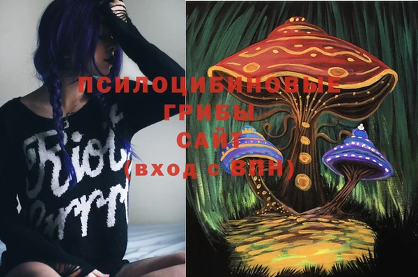 ПСИЛОЦИБИНОВЫЕ ГРИБЫ Алексин