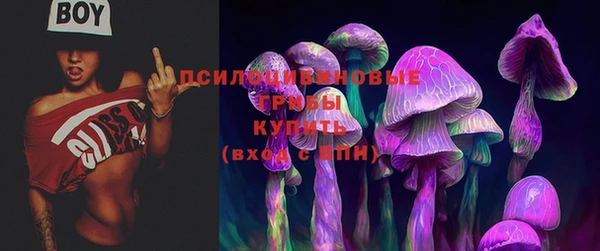 ПСИЛОЦИБИНОВЫЕ ГРИБЫ Алексин
