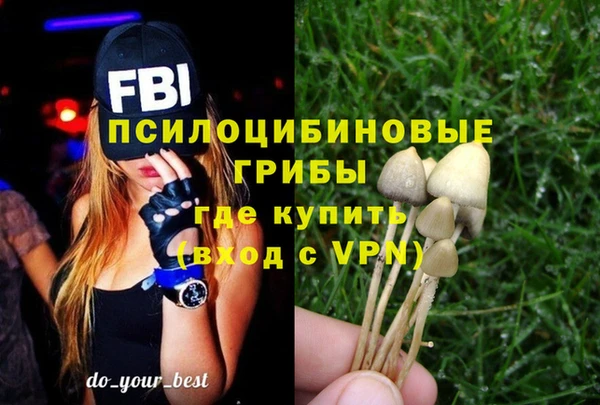 ГАЛЛЮЦИНОГЕННЫЕ ГРИБЫ Алексеевка