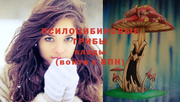 ГАЛЛЮЦИНОГЕННЫЕ ГРИБЫ Алексеевка