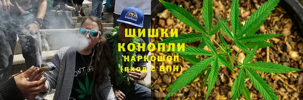 ГАЛЛЮЦИНОГЕННЫЕ ГРИБЫ Алексеевка