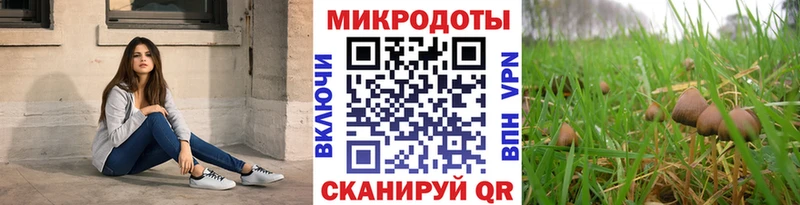 Псилоцибиновые грибы Psilocybine cubensis  закладка  Салават 