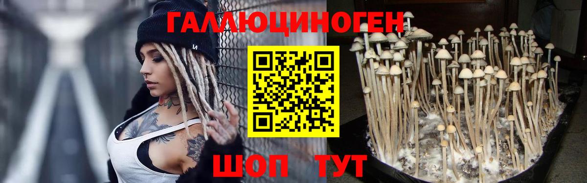 Салават  Галлюциногенные грибы Cubensis  Вход с VPN 